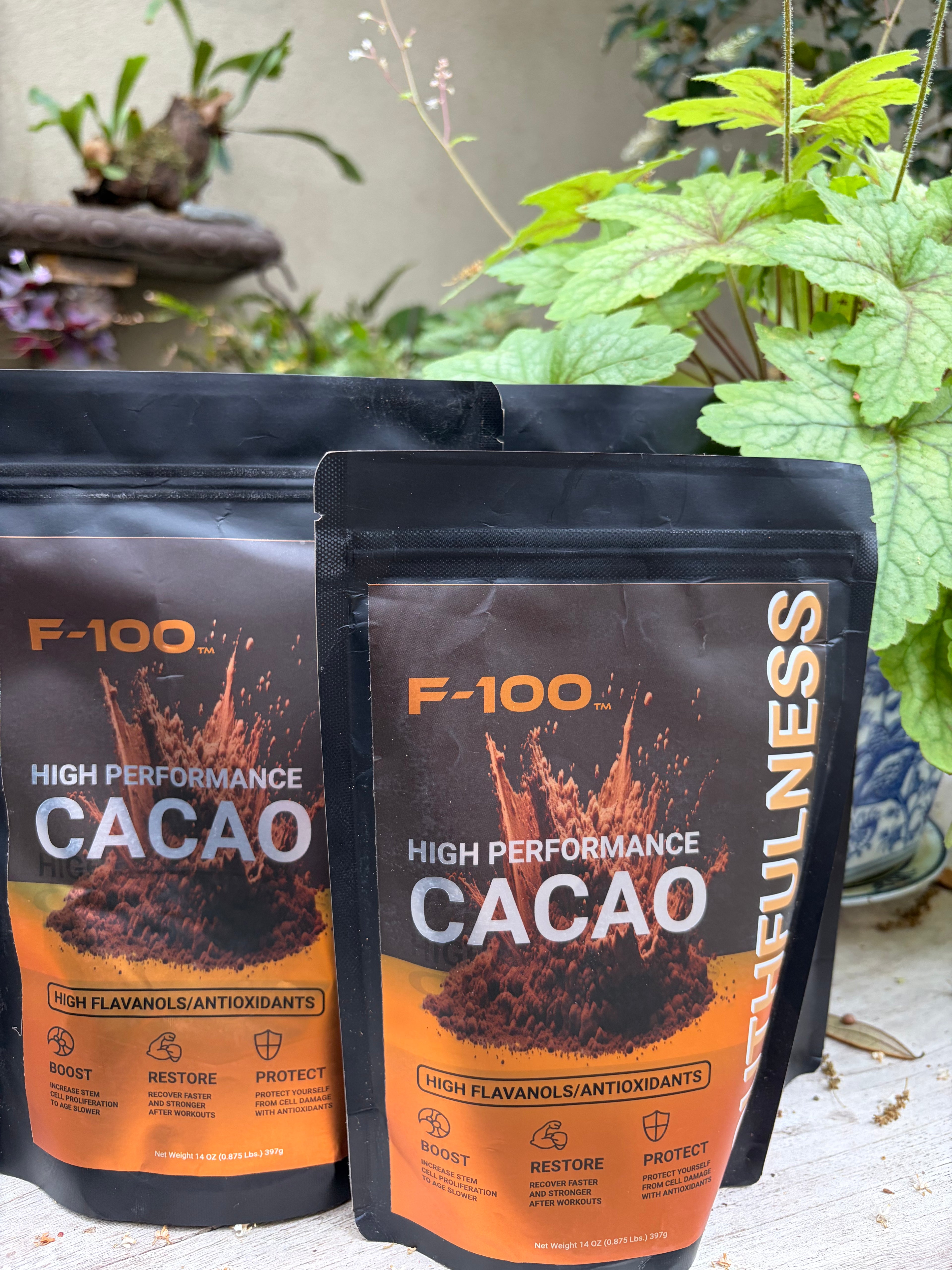 F-100 High Performance Cacao